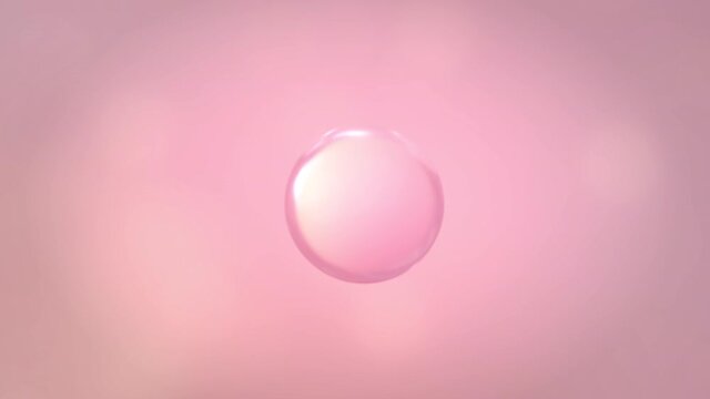 Pink skin bubble cells molecule spin around and combine to one ball in center frame on pink skin theme with 3d rendering.