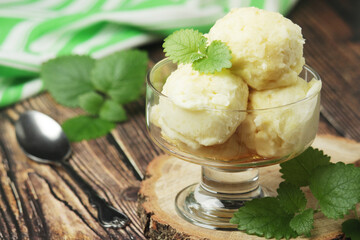 Ice cream scoops in an ice cream bowl