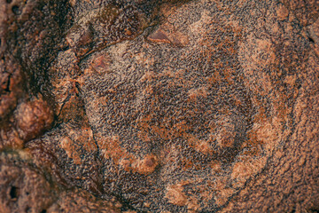 Close up of a rustic homemade mini chocolate cake. Top view.