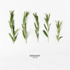 bunch of fresh green rosemary on white background. flat lay with copy space - obrazy, fototapety, plakaty