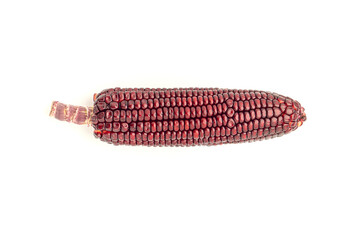 Side view of purple corn or Siam ruby queen isolated on a white background. Vegan fruit and healthy fruits concept
