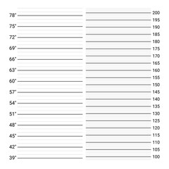 Mugshot background. Police wall with height measuring scale