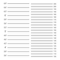 Mugshot background. Police wall with height measuring scale