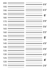 Police mugshot mugshot. Mug shot template. Identity parade background.