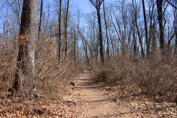 Watchung Reservation New Jersey