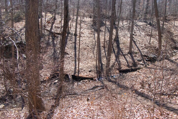 Watchung Reservation New jersey