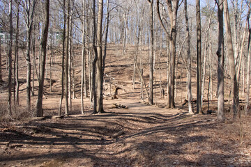 Watchung Reservation New jersey