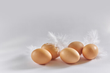 Beige eggs on a white background with feathers 