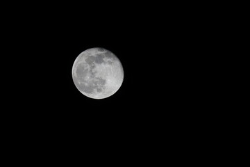 full moon in the night
moon, night, sky, full, space, astronomy, lunar, black, dark, full moon, crater, planet, bright, satellite, moonlight, sphere, craters, circle, white, surface, luna, nature, iso