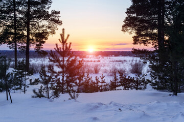 Winter nature and landscape. sunset sky and frozen ice lake. Forest at horizon.