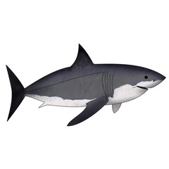 Great White Shark