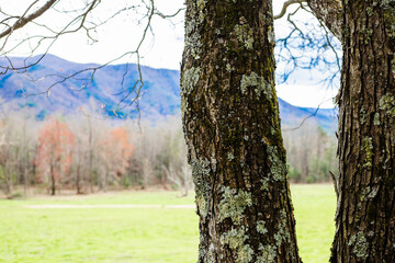 Beautiful field and mountains in Cades Cove in the Great Smoky Mountains