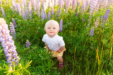 Happy little girl smiling outdoor. Beautiful blond young baby girl resting on summer field with blooming wild flowers green background. Free happy kid childhood concept. Positive toddler child