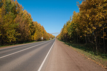 Fototapeta premium straight road, highway along trees with yellow foliage on a Sunny day