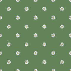 Spring, summer floral seamless pattern of small garden daisy white flowers. Chamomile fabric design. Wall paper decor. Watercolor hand painted isolated elements on green background.