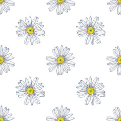 Spring, summer floral seamless pattern of big white garden daisy flowers in diagonals. Chamomile fabric design. Wedding decor. Watercolor hand painted isolated elements on white background.