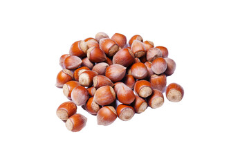 lot of nuts hazelnuts, in shell isolated on white background