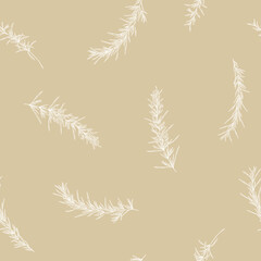 Rosemary seamless pattern, seamless background