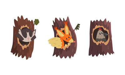 Cute Animals and Birds Living in Tree Hollows Set, Raccoon, Squirrel, Bird Peeking Out of Hollow Cartoon Vector Illustration