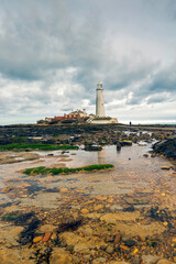 Fototapeta premium St Mary's Lighthouse