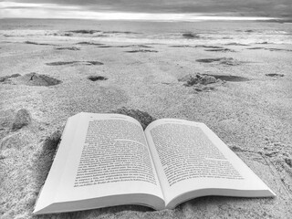 book on the beach