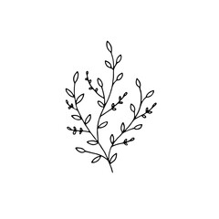 Vector minimalistic graphic, hand drawn floral icon. Branch with leaves.