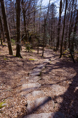 The hiking trail around the Battert mountain in Baden Baden. A really beautiful trail. Baden Wuerttemberg, Germany, Europe
