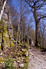 The hiking trail around the Battert mountain in Baden Baden. A really beautiful trail. Baden Wuerttemberg, Germany, Europe