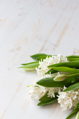 Spring Hyacinth and tulip flowers with copy space