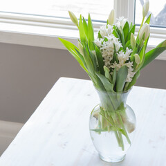 White spring Hyacinth and tulip flowers in vase on white table