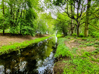 Obraz premium stream in the forest