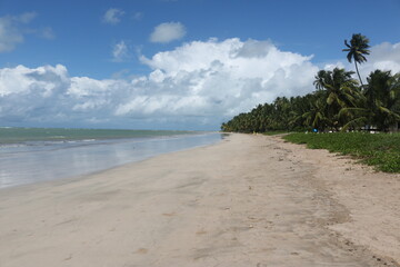 japaratinga, alagoas, brazil