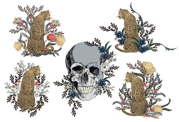 Vector drawing graphics, skull, leopard and flowers.  © Lana