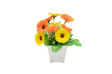 Houseplant in pot Yellow Gerbera. Piece of interior. Isolated on white background