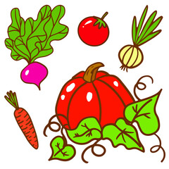 Set with vegetables. Pumpkin, radish, green onion, white onion, tomato, carrot. Vector illustration in hand style on white background