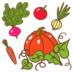 Set with vegetables. Pumpkin, radish, green onion, white onion, tomato, carrot. Vector illustration in hand style on white background