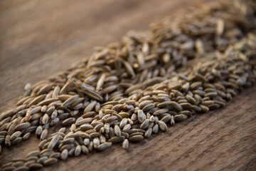 Close up of winter rye and oat seeds on wooden table