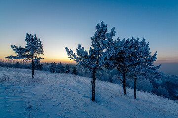 Winter sunset. Winter landscape with mountains in the background of the forest.