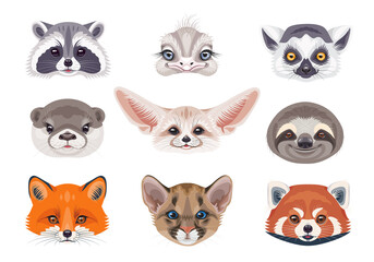 Funny Wild Animals Faces on White