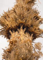 Wicked bouquet of ears and straw against a blue sky. Carnival winter holiday, Shrovetide...