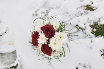 bouquet of red and white roses in snow