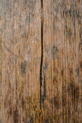 surface of the old board is covered with cracks.