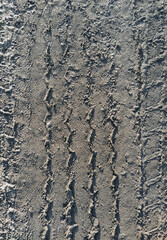 Textured traces, tread on muddy earth, sand, wet asphalt, road from a truck. Photography, concept.