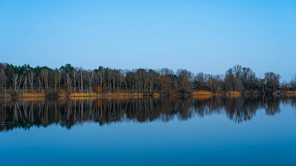 Evening landscape. Quiet and calm lake reflecting the forest and sky