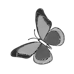 Hand-drawn black vector illustration of one scribble butterfly is flying on a white background for embroidery