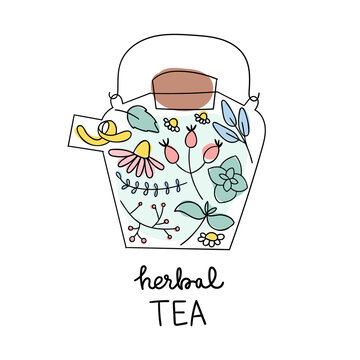 Herbal teapot logo. Cute doodle flowers and herbs for healthy drink.