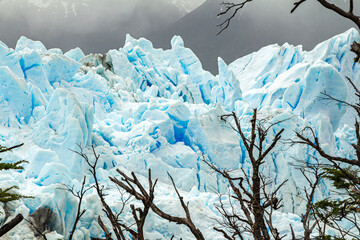 detalhe das montanhas de gelo azul, com alguns galhos de árvores na frente