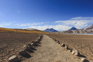 Atacama desert landscapes, Chile
