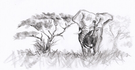 An elephant in prairie near tree