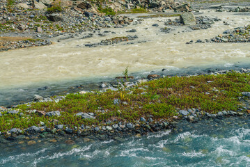 Sunny alpine landscape with confluence of two various mountain rivers. Beautiful clear creek flows...